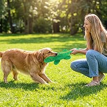 squeaky and crinkle dog toys