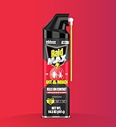 Raid Max Ant &amp;amp; Roach Spray Pack Sho