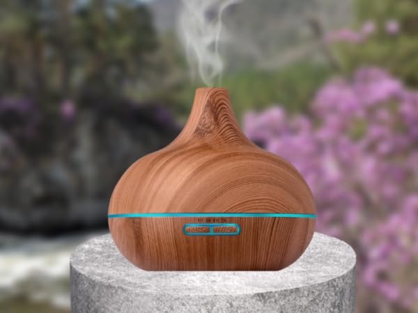 ad10 aromatherapy oil diffuser