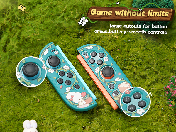 Switch 2 Protective Case