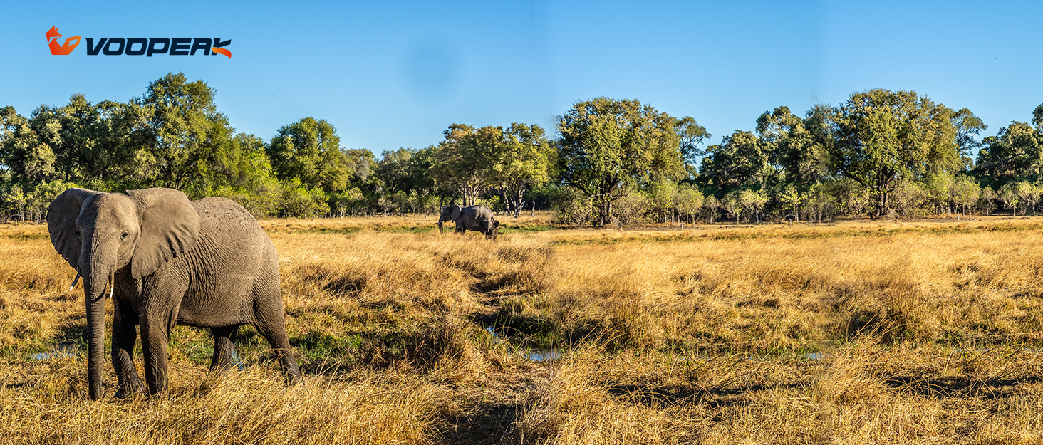 VOOPEAK NV01 night vision goggles