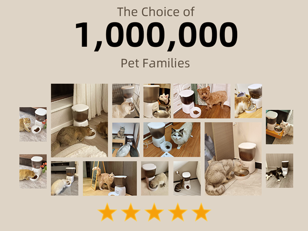 portion control cat feeder