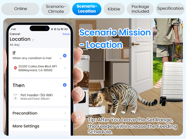 auto cat feeder dry food