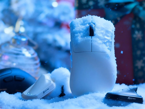 V3 mouse