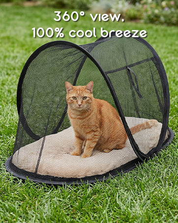 cat playpen