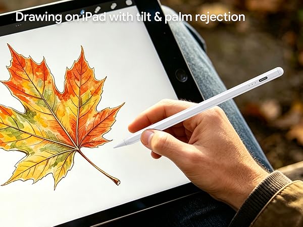 For Drawing