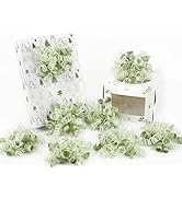HUIHUANG Green Bows for Gift Wrapping Sage Green Gift Bows 5 inch x 8 Counts Self-Adhesive Curly ...
