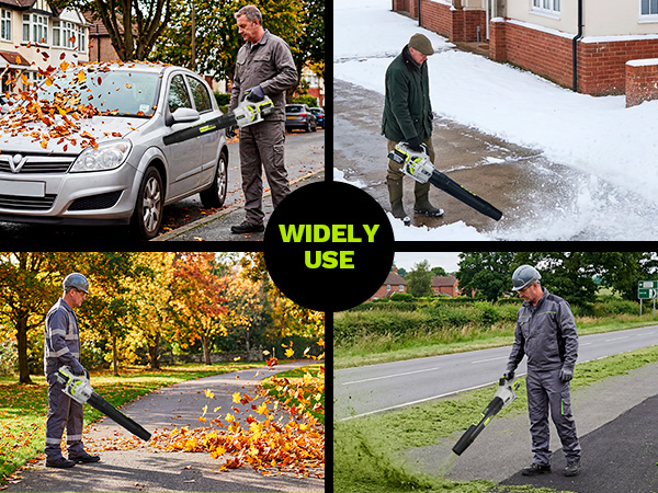cordless leaf blower