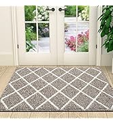 Finchitty Indoor Door Mat, Non-Slip Absorbent Resist Dirt Entrance Rug, Durable Machine Washable ...