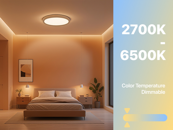 flush mount ceiling light 2