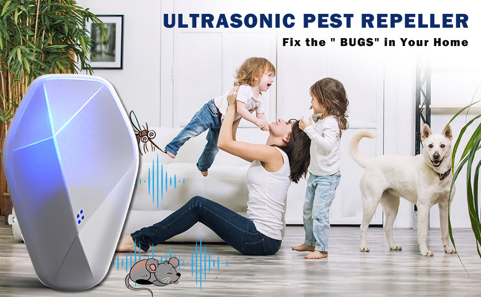 Bug Free in the house