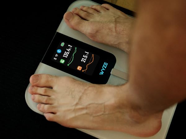 Body Metric Data Trends