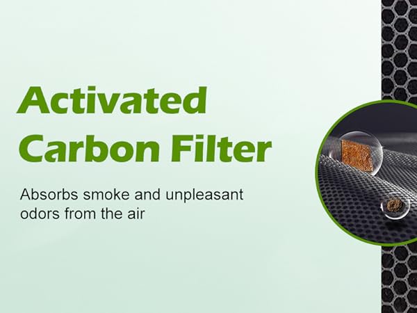 carbon filter