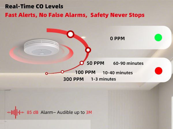 Monitors real - time CO, gives fast, accurate alarms with 85 dB sound.