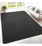 Woottpe 4x6 Feet Area Rugs for Living Room Bedroom,Dark-Grey Thickened Memory Foam Rug,Low Pile M...