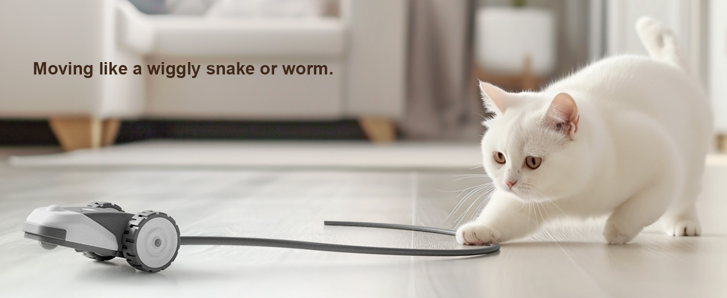 Interactive Cat Toy
