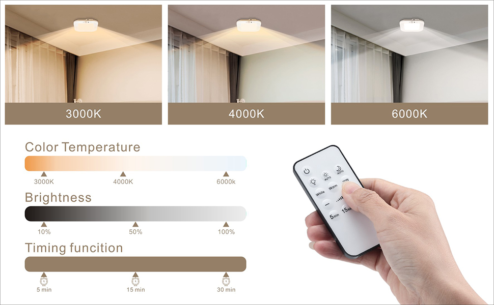 Battery Operated Ceiling Light