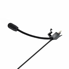 Mic Displaying
