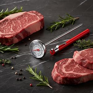 Silver Meat Thermometer