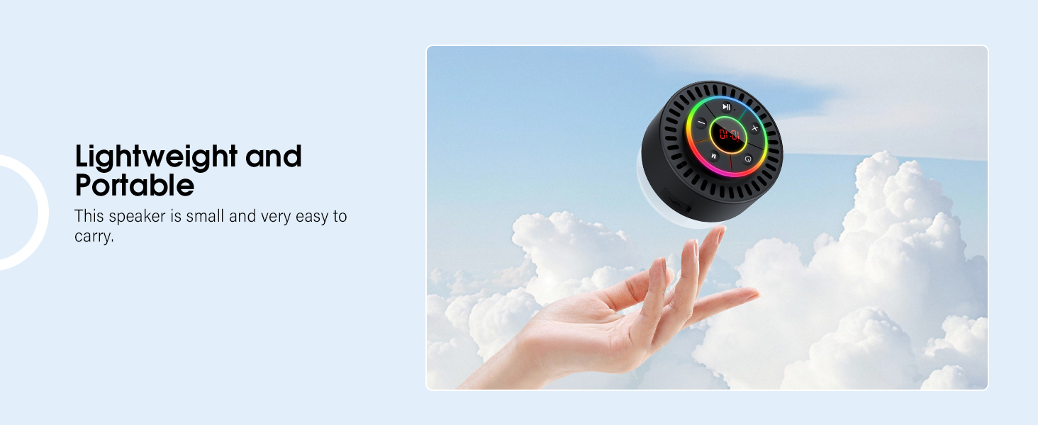 Portable Bluetooth Speaker