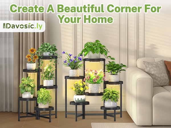 plant stand indoor