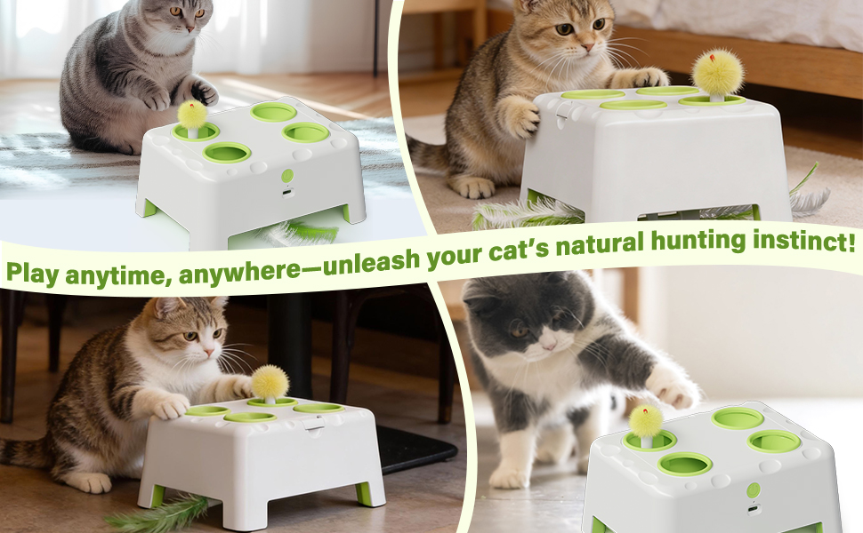 interactive cat toy for indoor cat