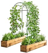 Garden Arch Trellis for Climbing Plants Outdoor, Metal Plants Support Trellis for Climbing Vine T...