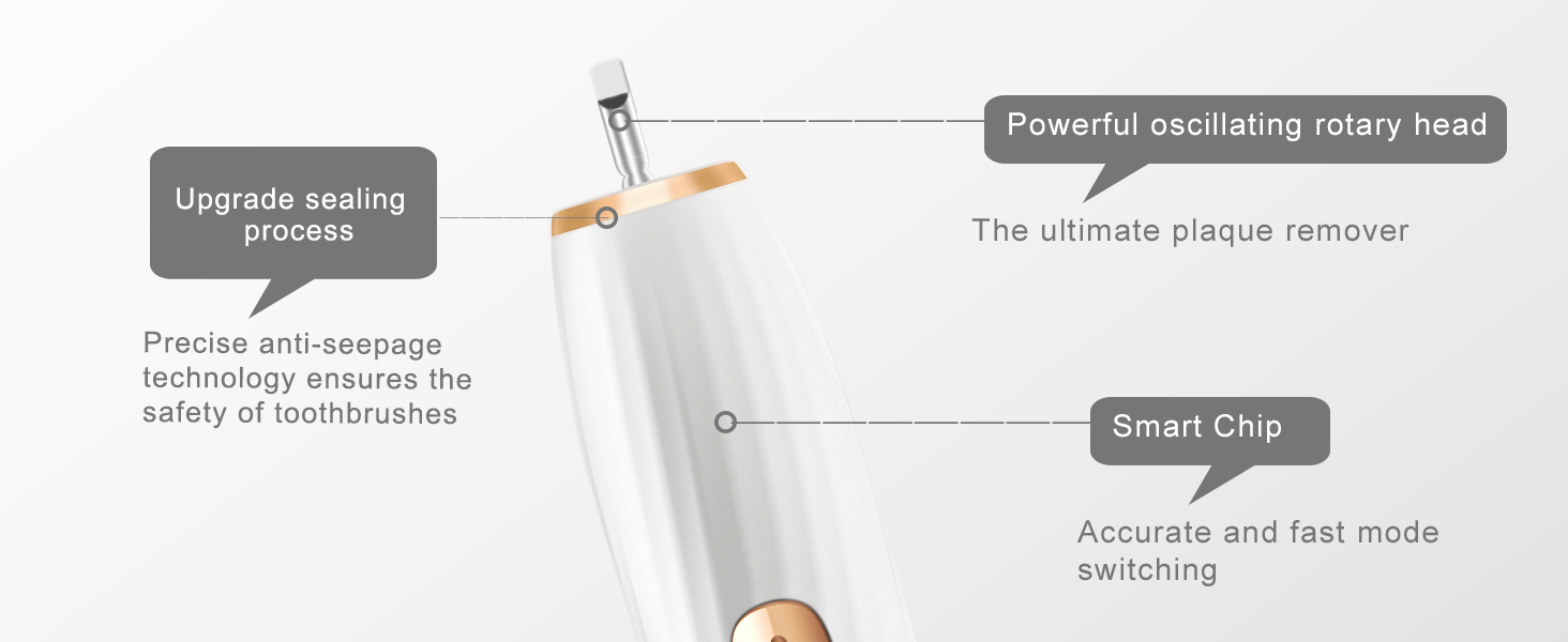 Rechargeable Toothbrush