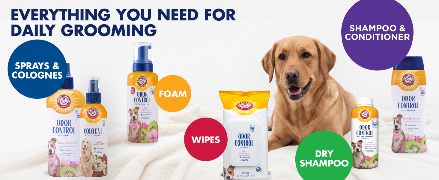 Everything you need for daily grooming