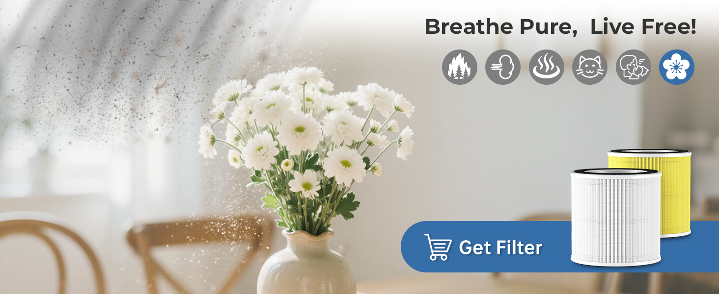 air purifiers for living room