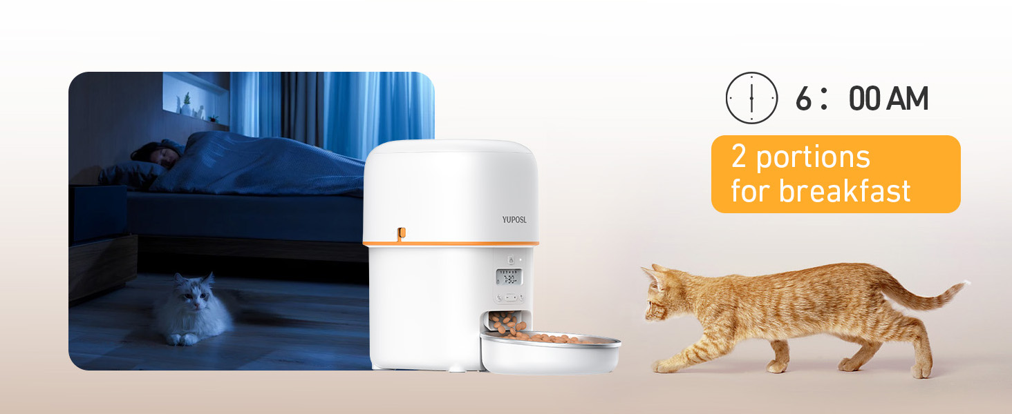 automatic cat feeder automatic cat food dispenser
