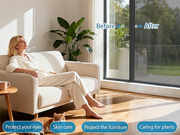 window tint for home