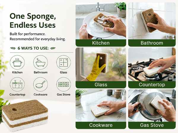 natural sponges
