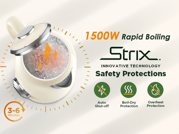 Electric tea kettle