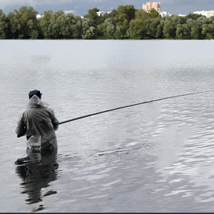 Adult Rain Poncho Bulk
