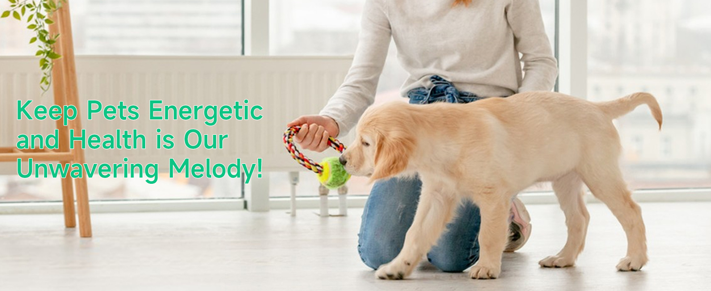 Keep Pets Energetic and Health is Our Unwavering Melody!