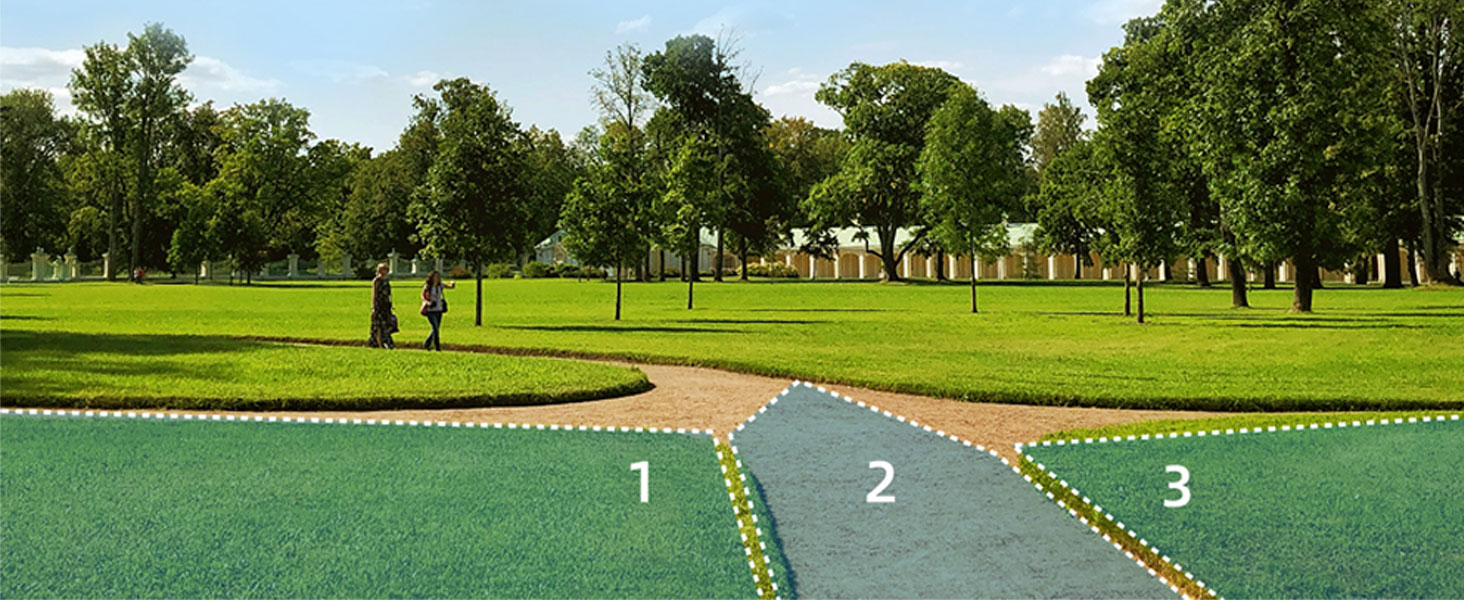 Customize Detection Zone