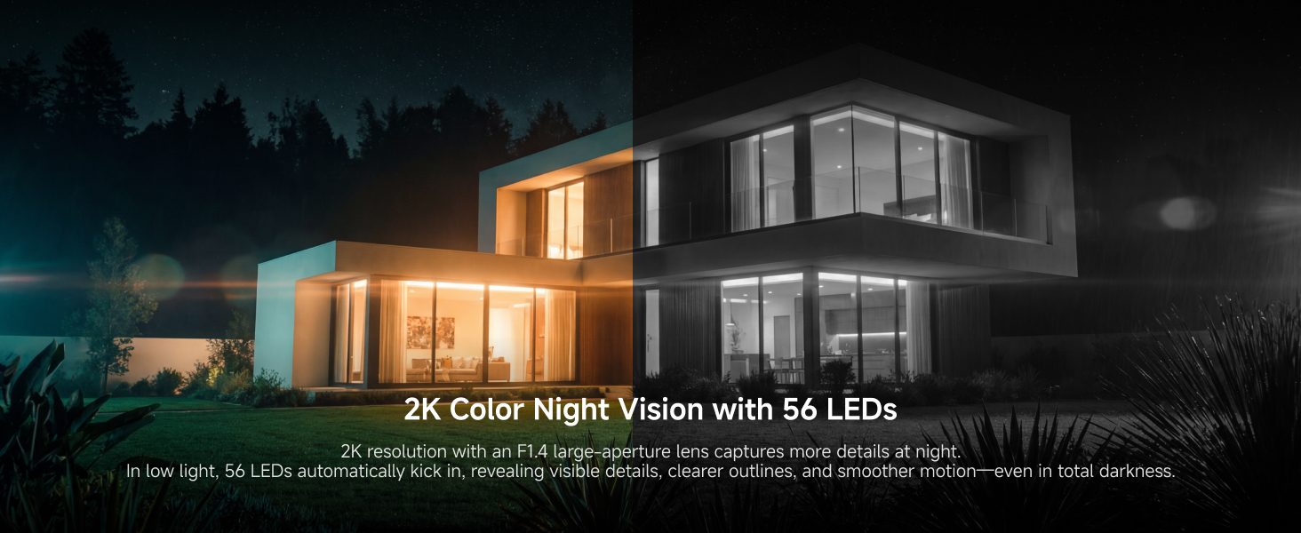 2K Color Night