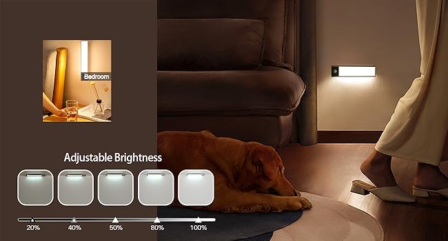 Closet Light Adjustable Brightness