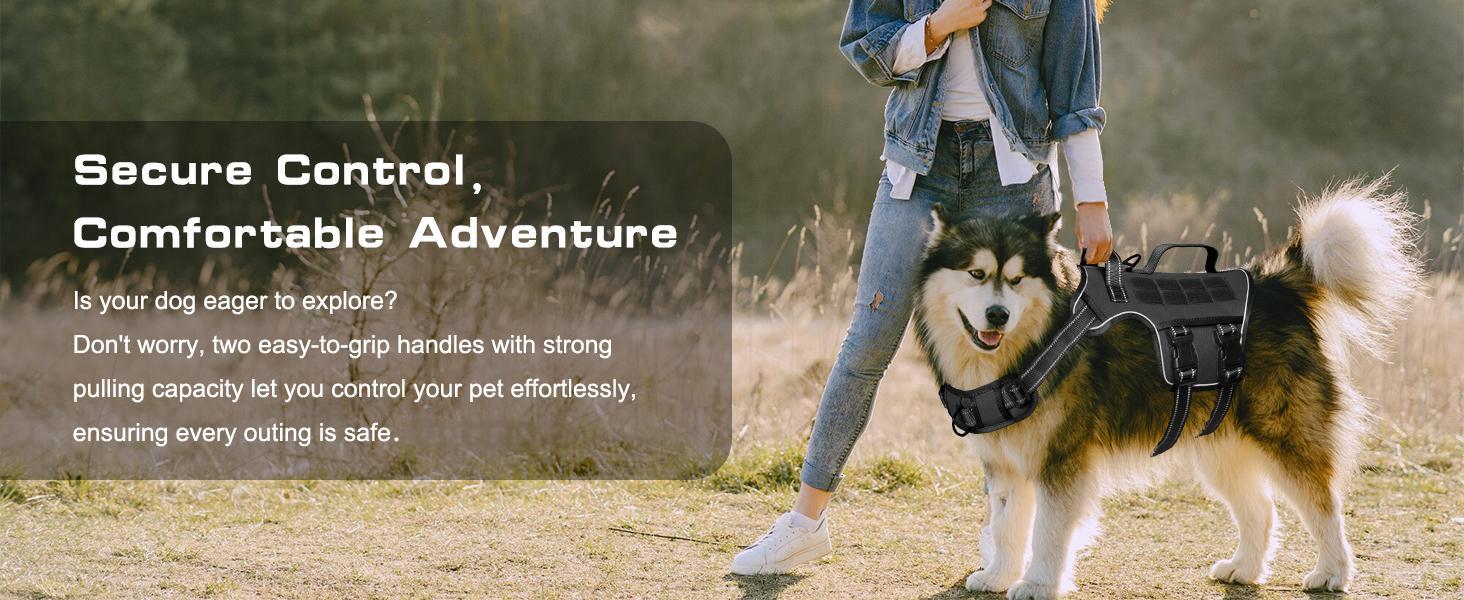 dog harness