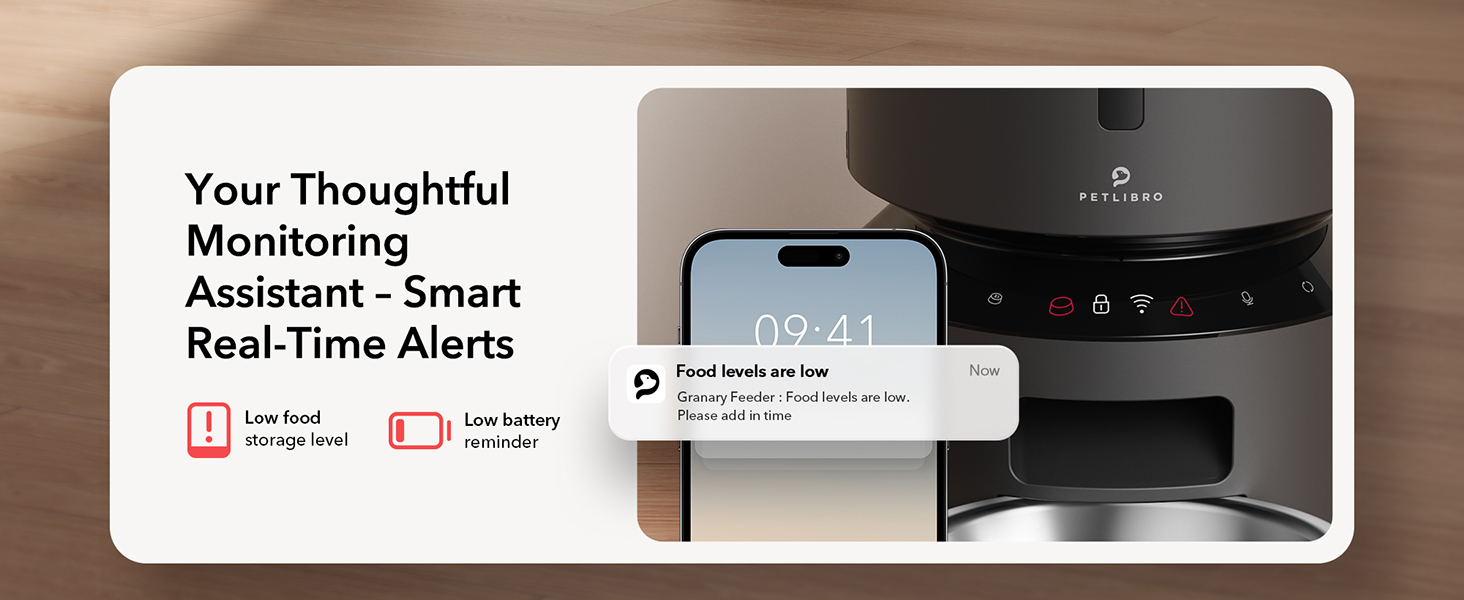 automatic cat feeder