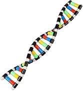 iplusmile DNA Models Double Helix Structure Models DNA Double Helix Modesl Kit Biological Science...