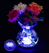 Submersible Led Lights