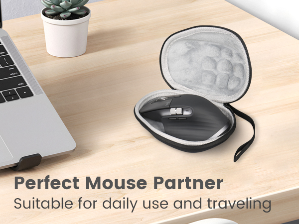 wireless mouse case