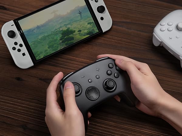 switch pro controller wireless