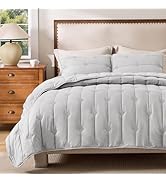 Bedsure Light Grey Quilt Queen Size – Ultra Soft Cloud Lightweight Coverlet Comforter Set with 2 ...