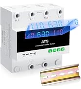63 amp AC110V Automatic/Manual Transfer Switch with LED Display, 50/60Hz 2P 63A ATS Auto Dual Pow...