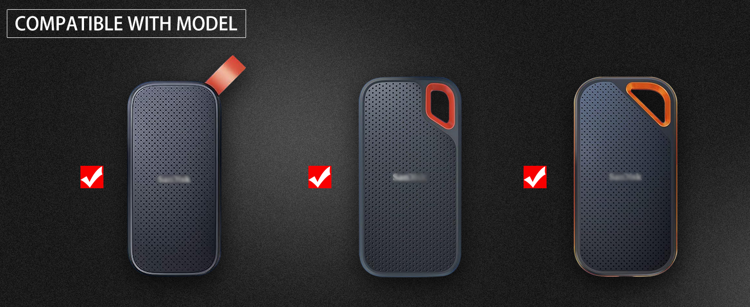 Case for sandisk ssd