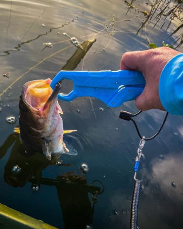 fish gripper