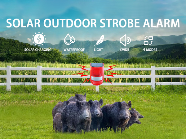 dog bark deterrent devices door stop alarm solar motion lights outdoor waterproof door alarm